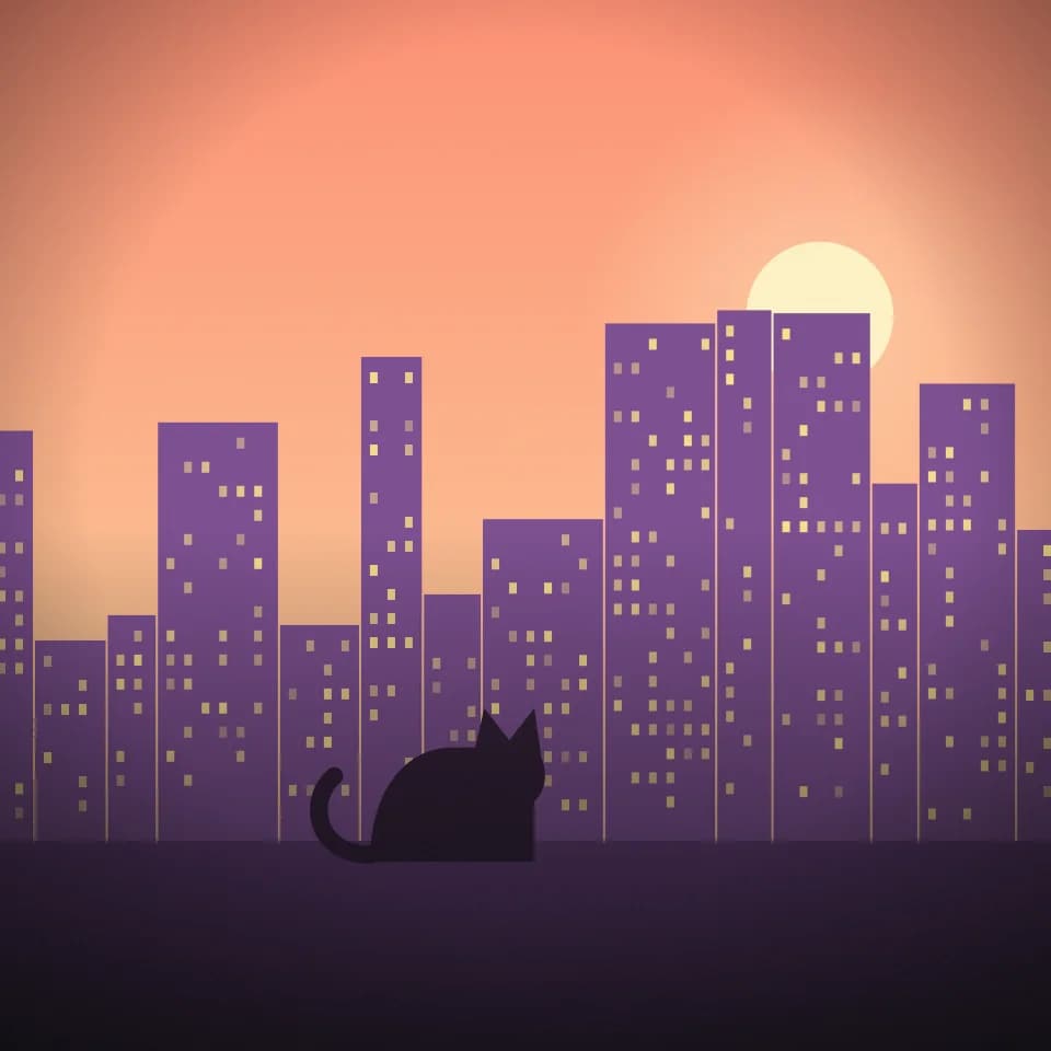 Eine Katze erkundet die Stadt