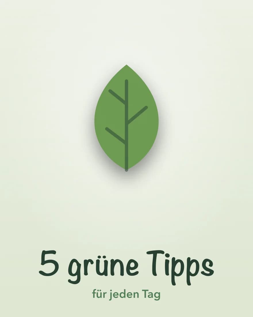 5 Nachhaltigkeits-Tipps